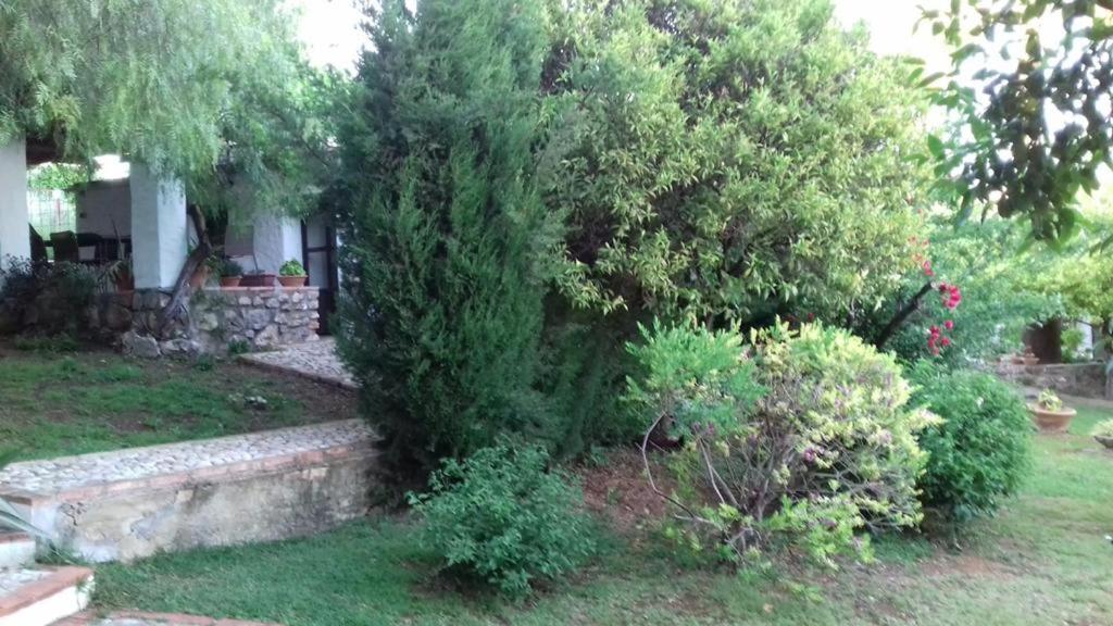 Casas De Almajar Villa Prado Del Rey Bagian luar foto