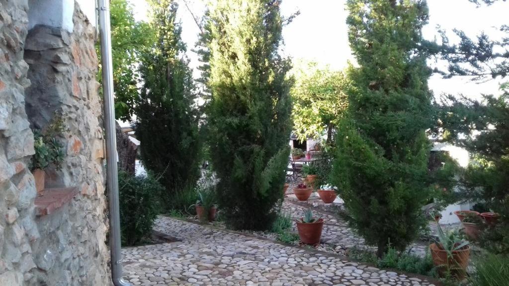 Casas De Almajar Villa Prado Del Rey Bagian luar foto