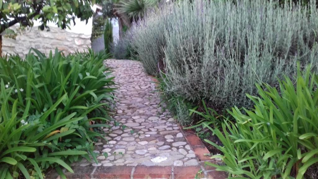 Casas De Almajar Villa Prado Del Rey Bagian luar foto