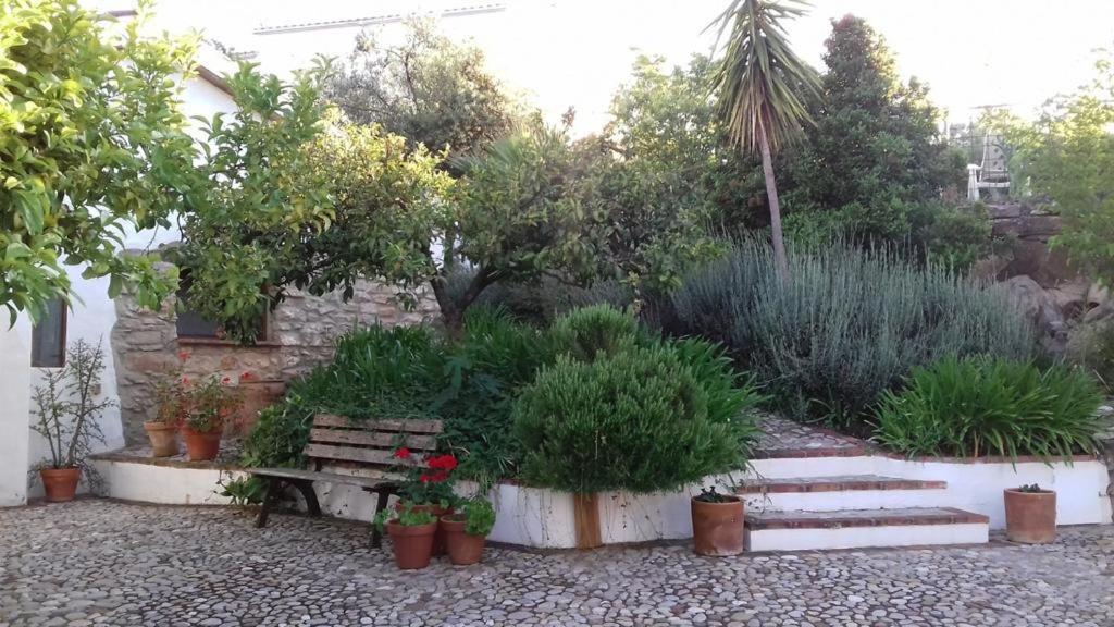 Casas De Almajar Villa Prado Del Rey Bagian luar foto