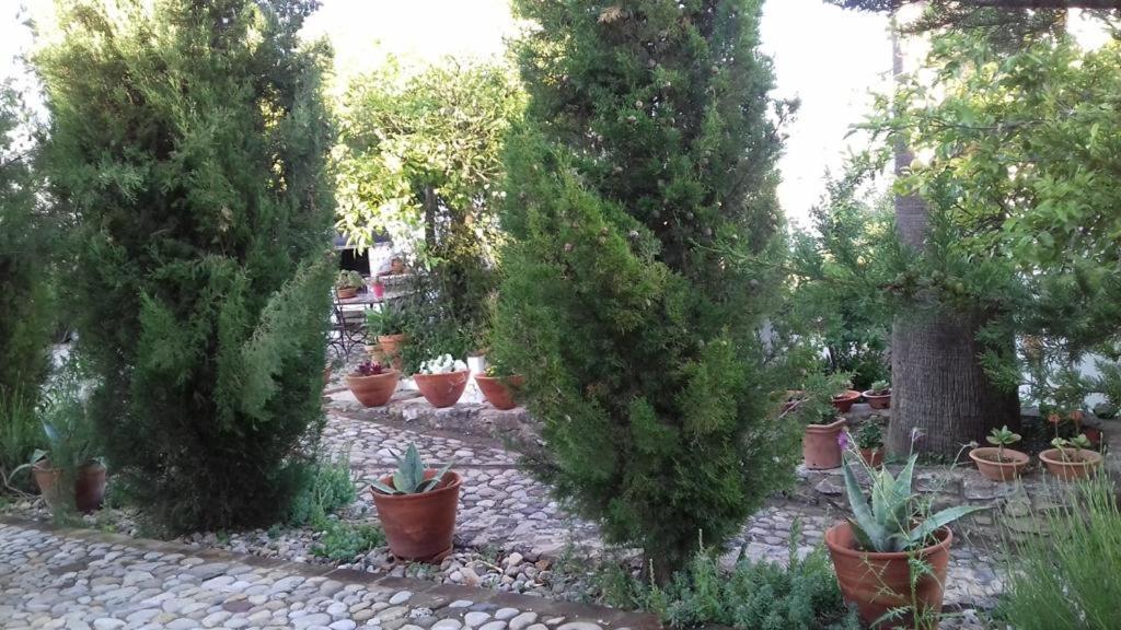 Casas De Almajar Villa Prado Del Rey Bagian luar foto