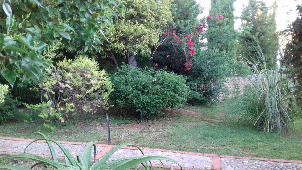 Casas De Almajar Villa Prado Del Rey Bagian luar foto